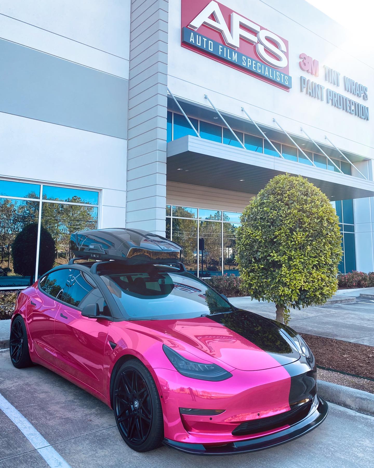 tesla-model-vehicle-graphic-houston-tx